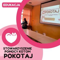 Zdjęcie 4 organizacji Stowarzyszenie Pomocy Kotom Pokotaj