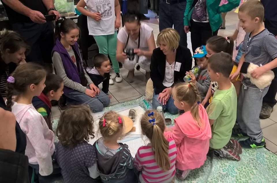 POLSKI ZWIĄZEK NA RZECZ ZWIERZĄT EGZOTYCZNYCH I DOMOWYCH