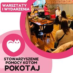 Zdjęcie 2 organizacji Stowarzyszenie Pomocy Kotom Pokotaj