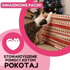 Zdjęcie 3 organizacji Stowarzyszenie Pomocy Kotom Pokotaj