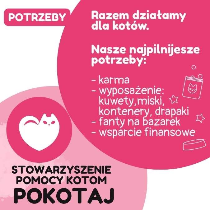 Stowarzyszenie Pomocy Kotom Pokotaj