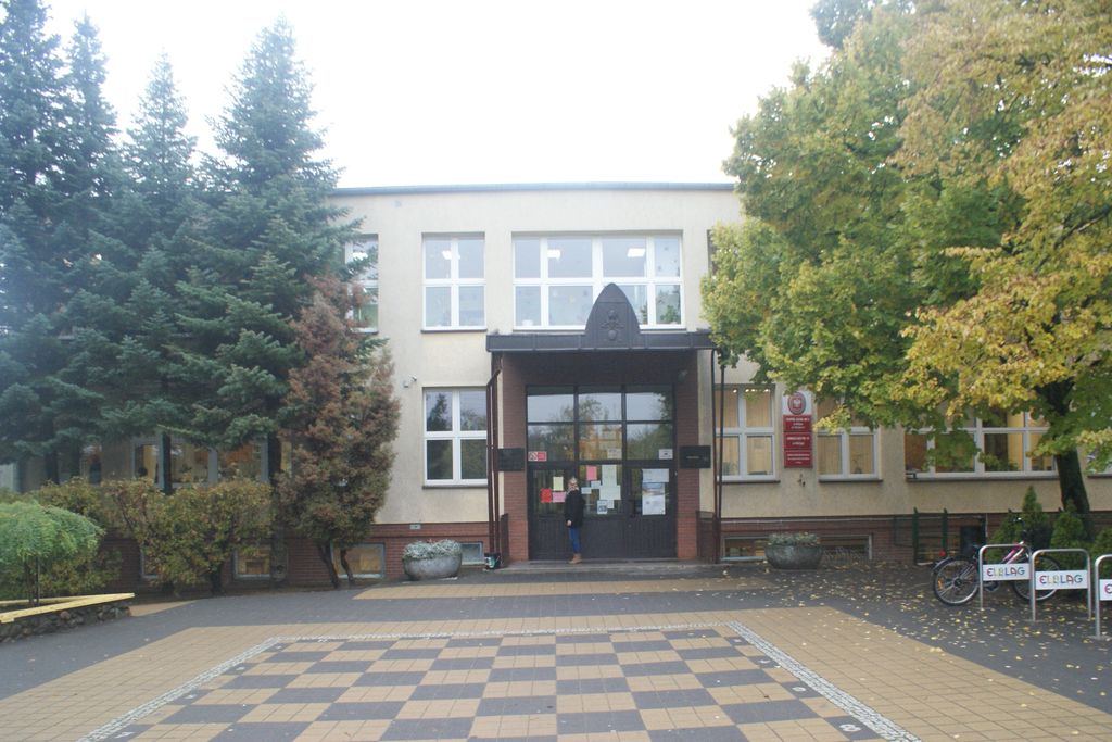 Stowarzyszenie Przyjaciół Szkoły nr 25 Mrowisko