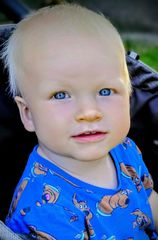 6298 Mikołaj Świtoń