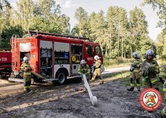 Zdjęcie 1 organizacji Ochotnicza Straż Pożarna w Poniatowa-Miasto