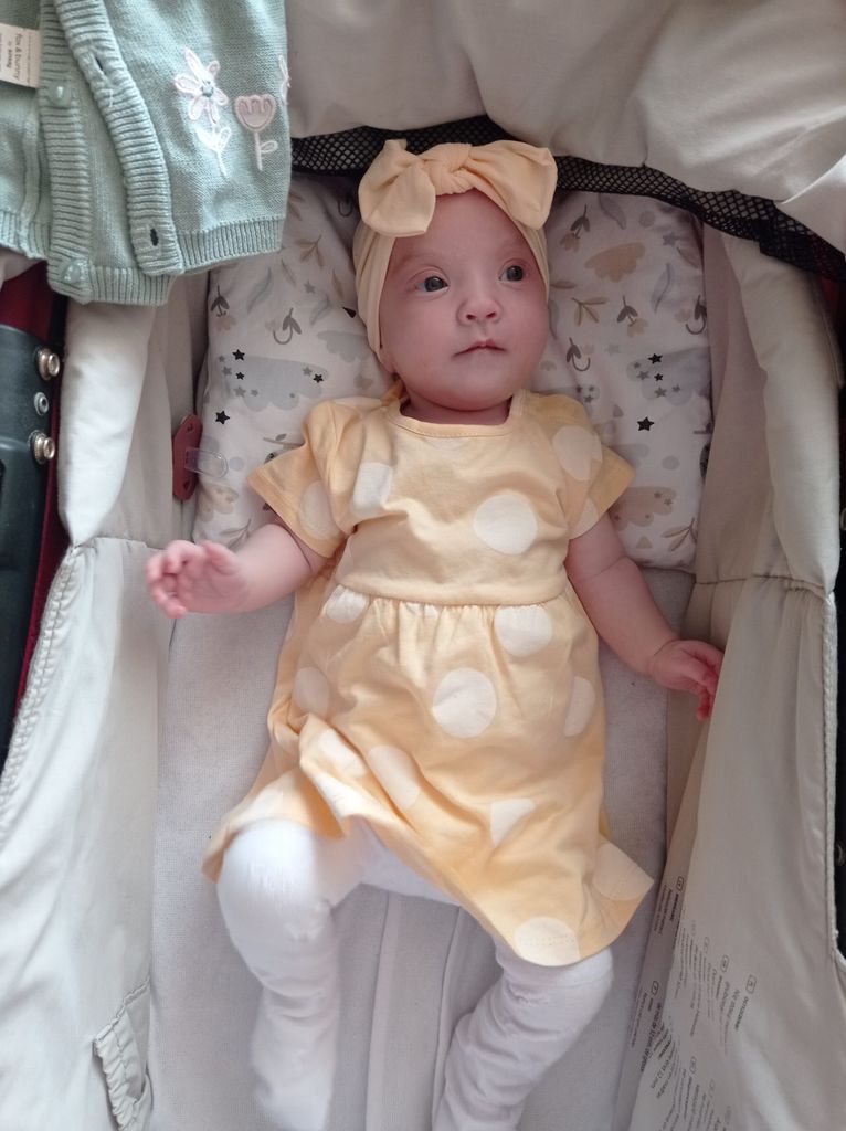 3961 Liliana Najbor