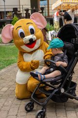 Zdjęcie 4 organizacji Społeczne Towarzystwo Hospicjum Cordis