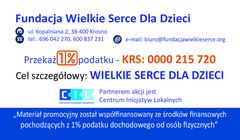 Zdjęcie 1 organizacji Fundacja Wielkie Serce dla Dzieci