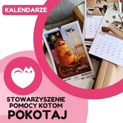 Zdjęcie 1 organizacji Stowarzyszenie Pomocy Kotom Pokotaj