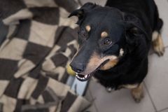 Zdjęcie 1 organizacji Fundacja Mam Pomysł