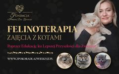 Zdjęcie 1 organizacji Fundacja z Pokorą Dla Zwierząt