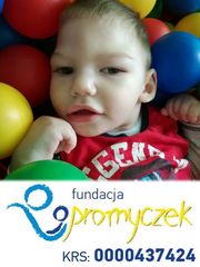 Zdjęcie 1 organizacji Fundacja "Promyczek"