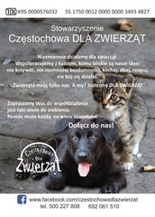 Zdjęcie 2 organizacji Stowarzyszenie Częstochowa DLA ZWIERZĄT