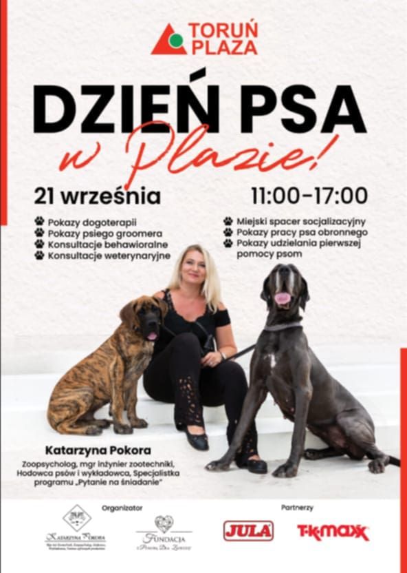 Fundacja z Pokorą Dla Zwierząt