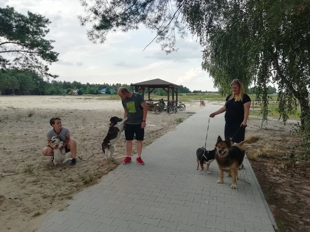 Stowarzyszenie "Pomagajmy Zwierzętom"