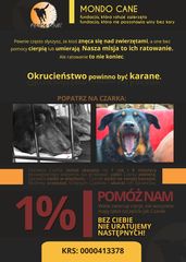 Zdjęcie 2 organizacji Fundacja Mondo Cane