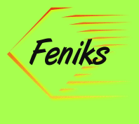 Fundacja Na Rzecz Osób Niepełnosprawnych "Feniks"