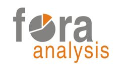 Fundacja Fora Analysis