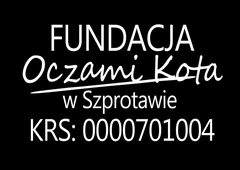 Fundacja Oczami Kota