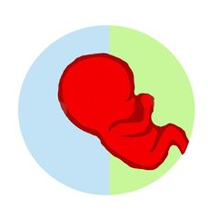 Fundacja Dwa Kilogramy Szczęścia