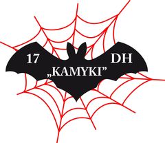17 DH Kamyki