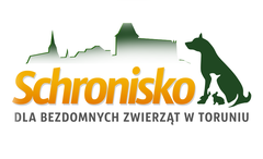 Schronisko dla Bezdomnych Zwierząt w Toruniu