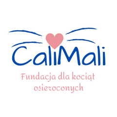 Fundacja dla kociąt osieroconych CaliMali
