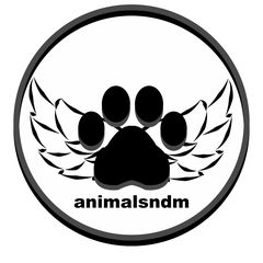 Stowarzyszenie Animalsndm