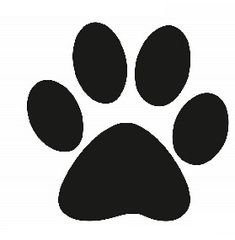 Stowarzyszenie Aktywnie z Psami