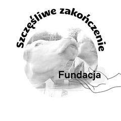 Fundacja Szczęśliwe zakończenie
