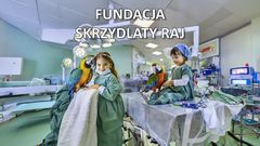 Fundacja Skrzydlaty Raj