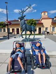 Michał i Kamil siepomaga