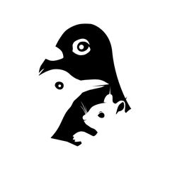 Fundacja Akcja dla Dzikich Zwierząt