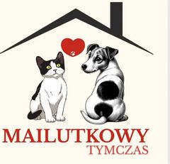 Stowarzyszenie Mailutkowy Tymczas