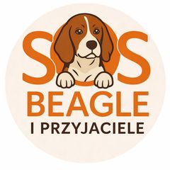 SOS BEAGLE I PRZYJACIELE