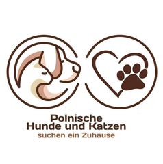FUNDACJA POLNISCHE HUNDE UND KATZEN SUCHEN EIN ZUHAUSE