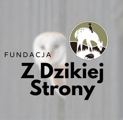 Fundacja Z Dzikiej Strony