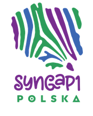''STOWARZYSZENIE NA RZECZ DZIECI I DOROSŁYCH Z SYNGAP1 I INNYMI CHOROBAMI RZADKIMI RAZEM DLA SYNGAP1''