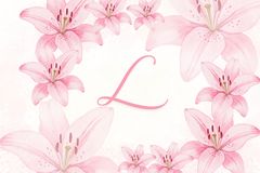 LILIA <3