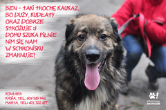 Zdjęcie 1 organizacji Fundacja Zwierzochron