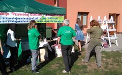 Zdjęcie 3 organizacji Fundacja Przywołaj Uśmiech