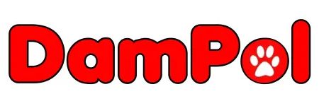 DamPol24